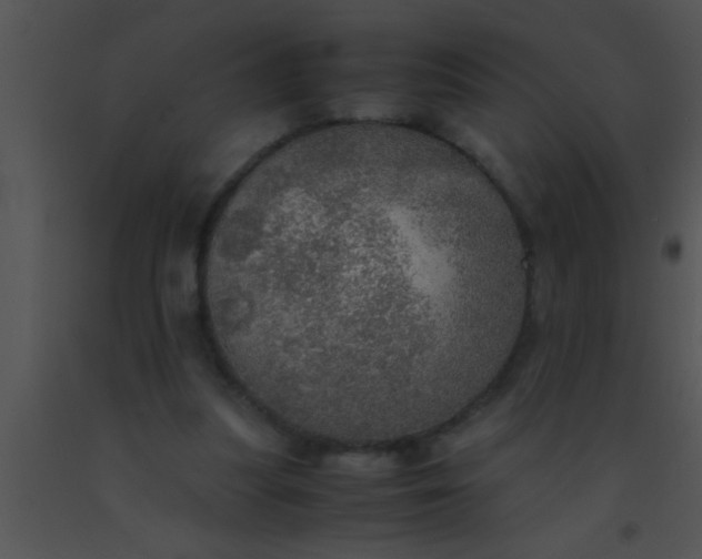 X0000091550251200708311400