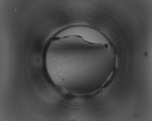 X0000091550252200708311400