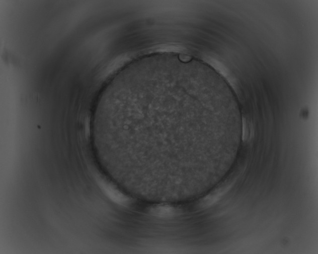 X0000091550253200708311400