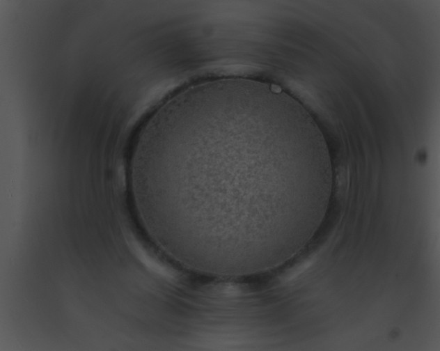 X0000091550254200708311400