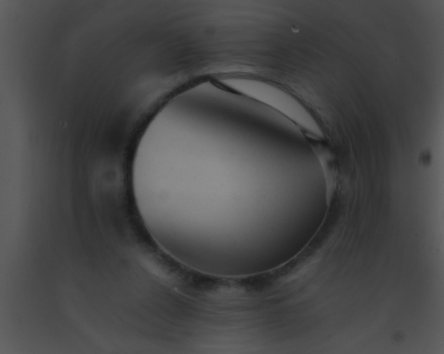 X0000091550256200708311400