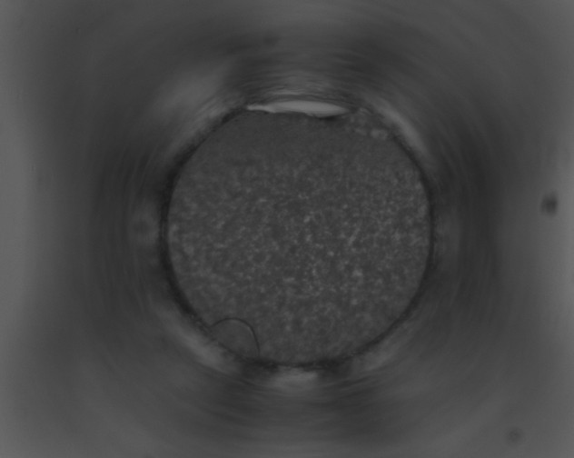 X0000091550257200708311400