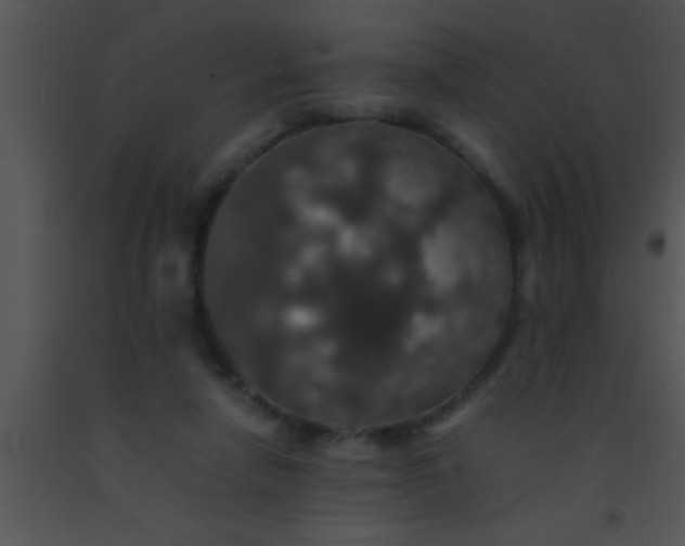 X0000091550258200708311400