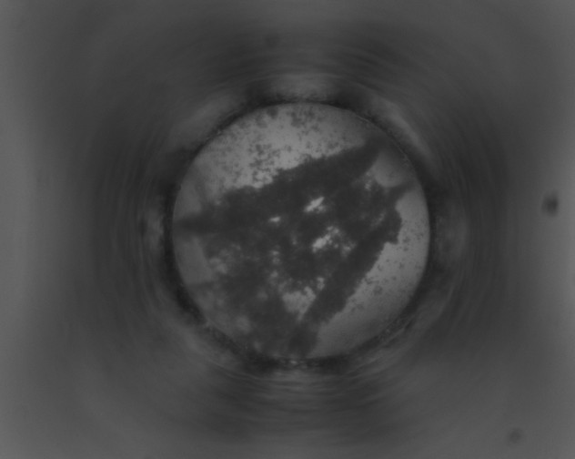 X0000091550259200708311400