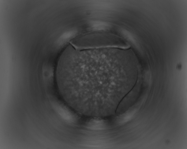 X0000091550260200708311400