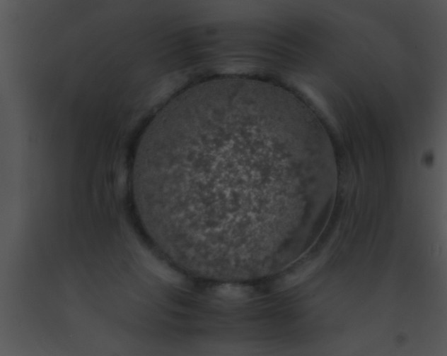 X0000091550261200708311400