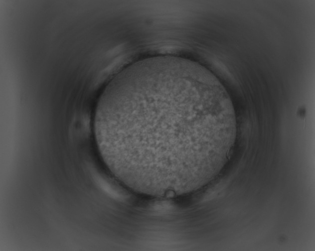 X0000091550262200708311400