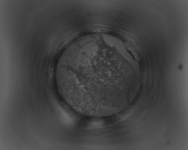 X0000091550263200708311400