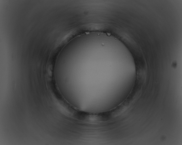 X0000091550264200708311400