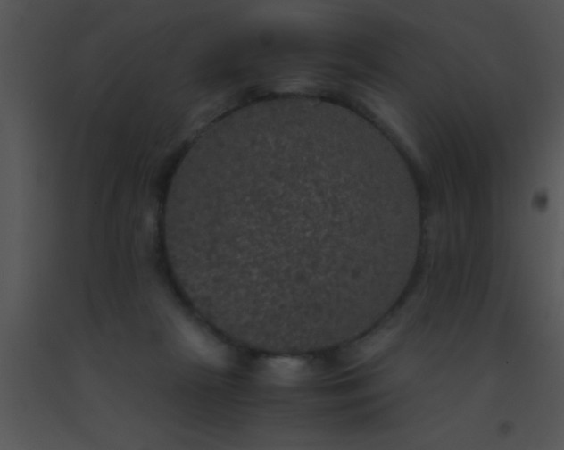 X0000091550265200708311400