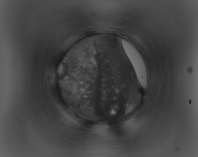 X0000091550266200708311400