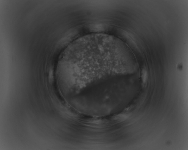 X0000091550267200708311400