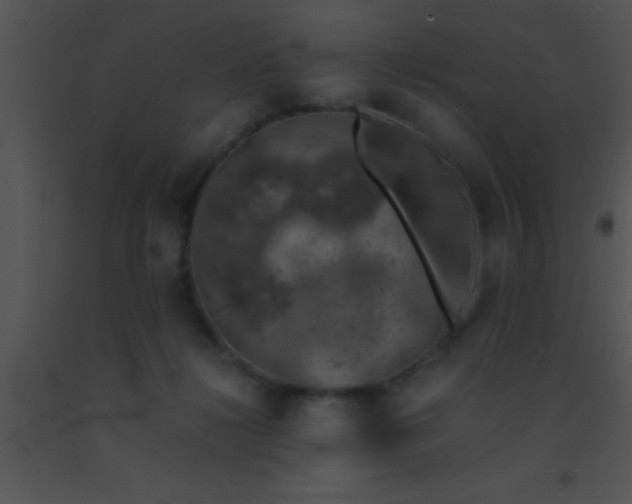 X0000091550268200708311400
