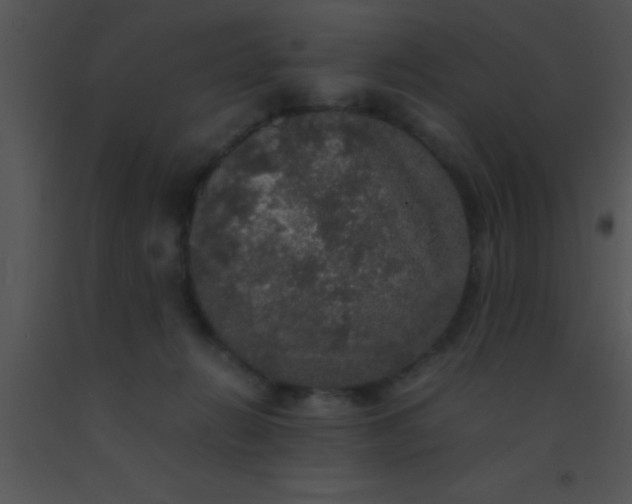 X0000091550270200708311400