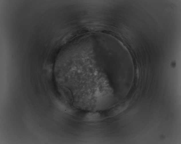 X0000091550271200708311400