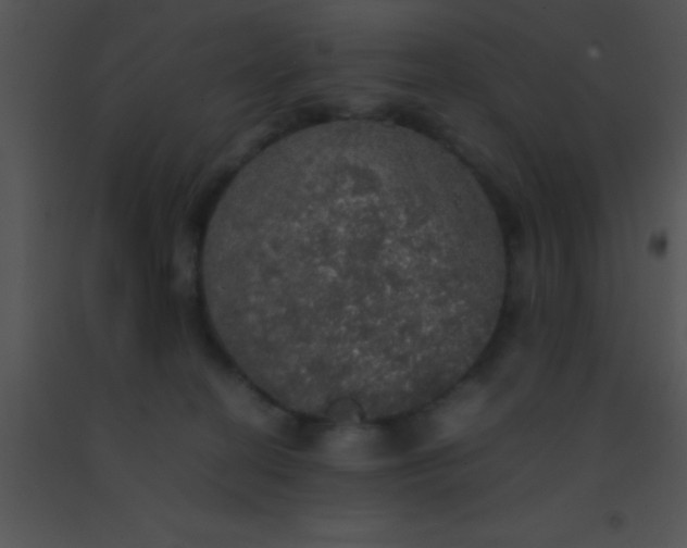 X0000091550274200708311400