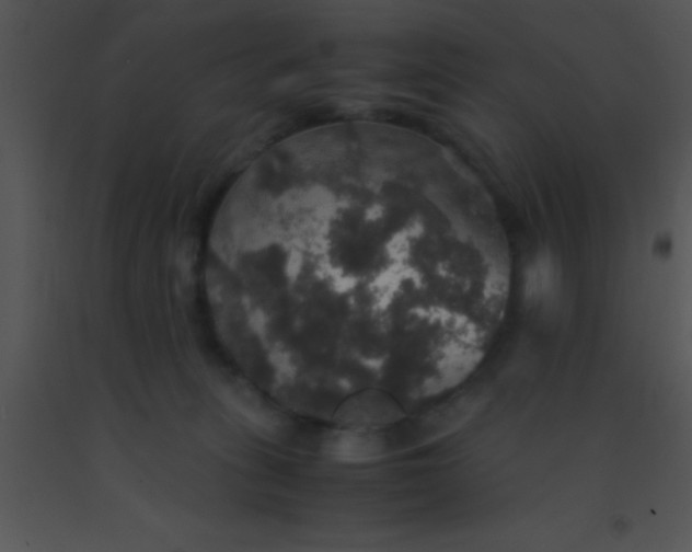 X0000091550275200708311400