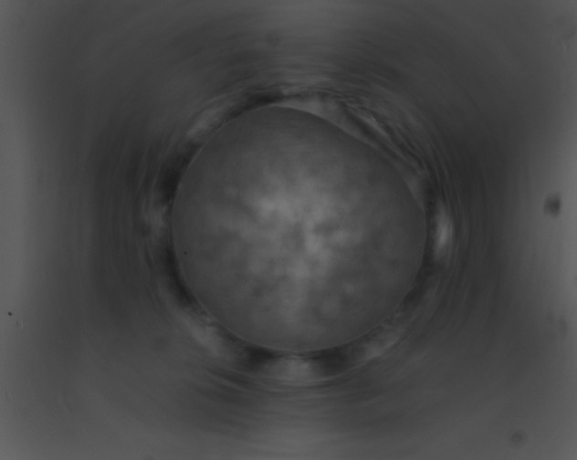 X0000091550276200708311400