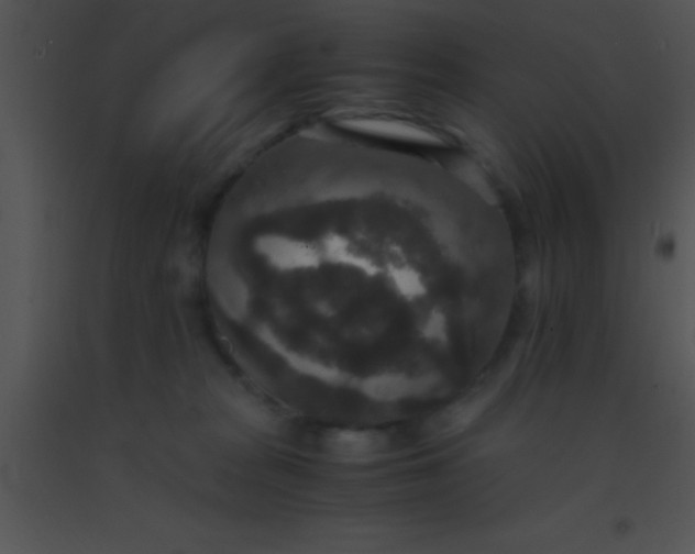 X0000091550277200708311400