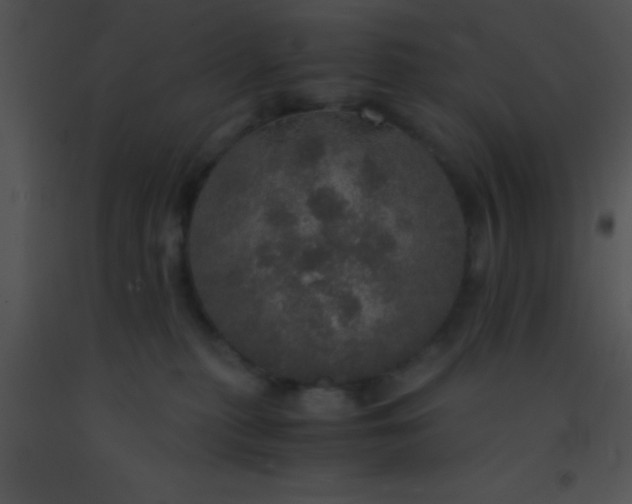 X0000091550279200708311400