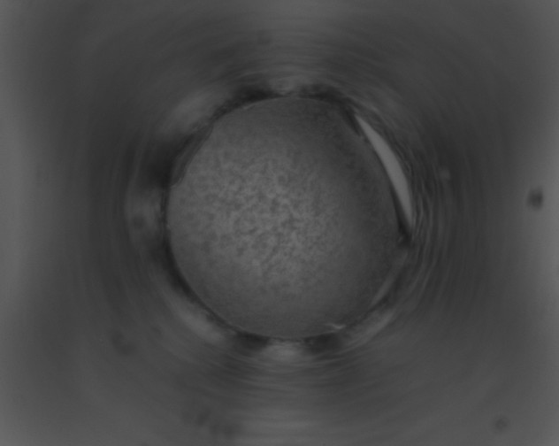 X0000091550280200708311400