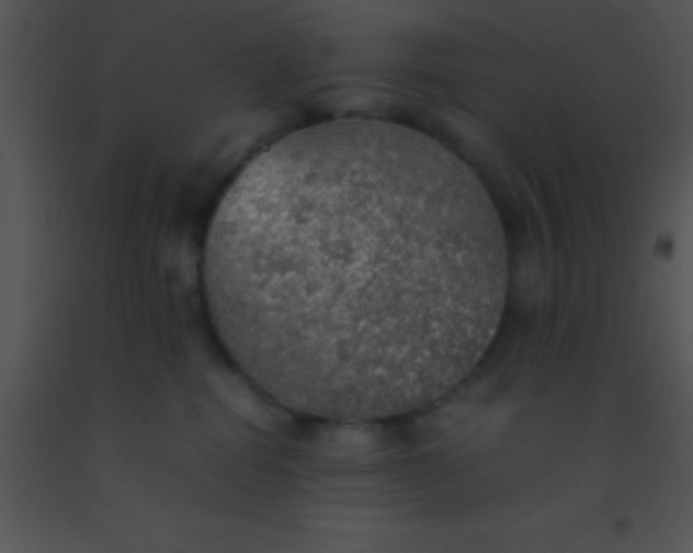 X0000091550282200708311400