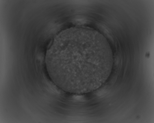 X0000091550283200708311400
