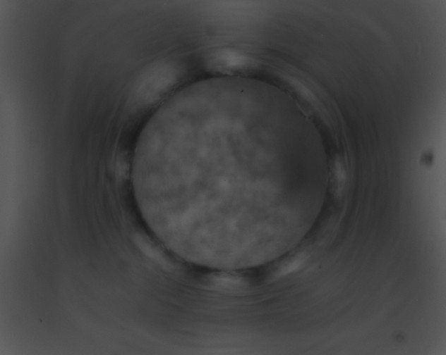 X0000091550284200708311400