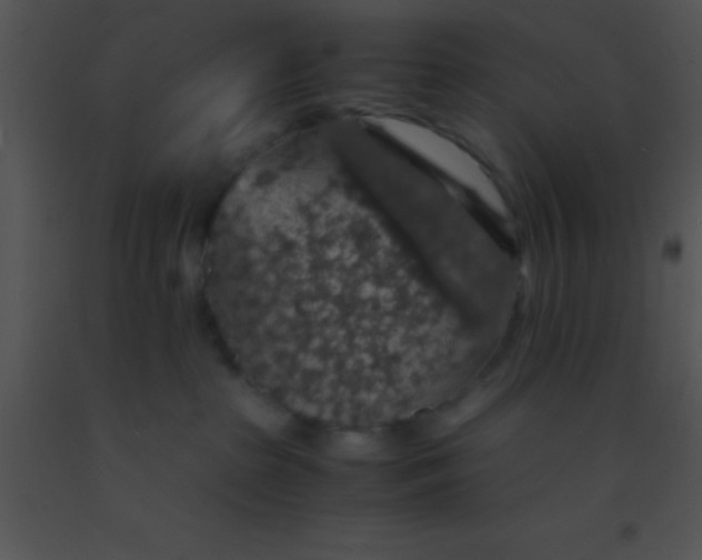 X0000091550285200708311400