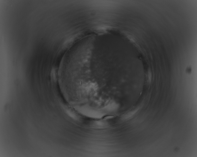 X0000091550286200708311400