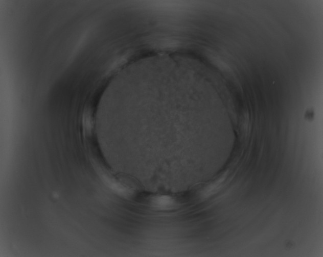 X0000091550287200708311400