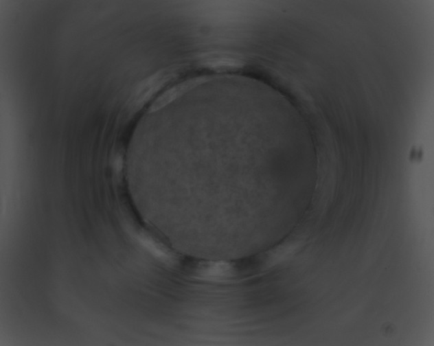 X0000091550288200708311400