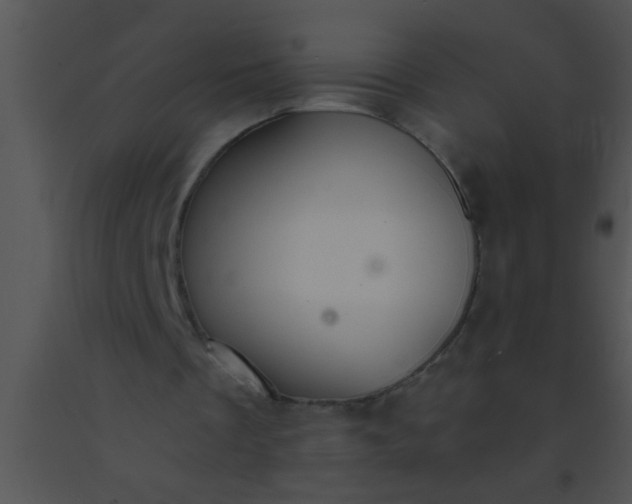 X0000091550289200708311400