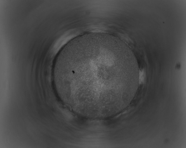 X0000091550291200708311400