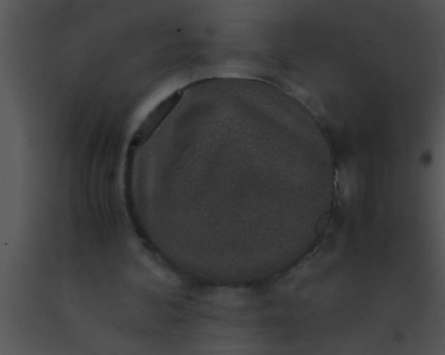X0000091550292200708311400