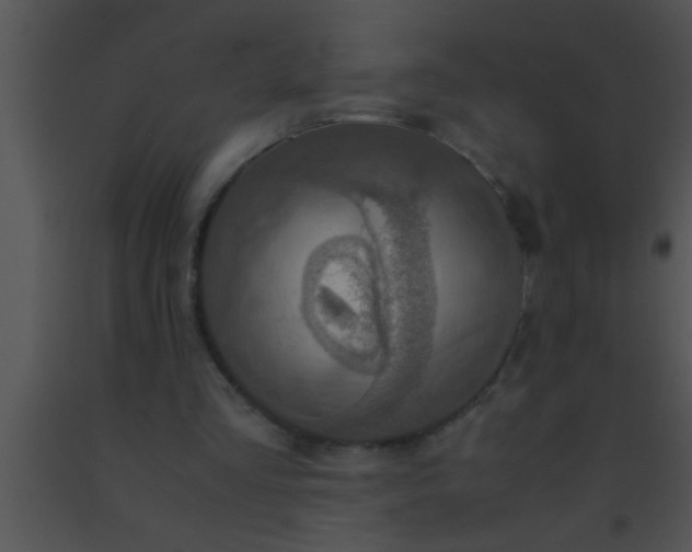 X0000091550293200708311400