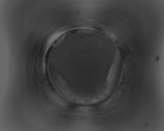 X0000091550294200708311400