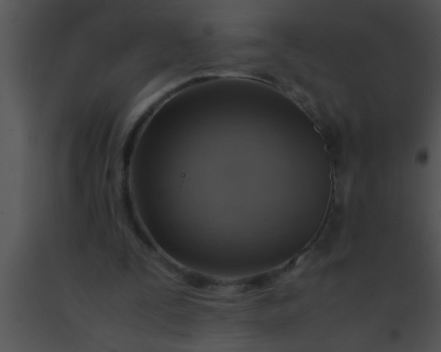 X0000091550295200708311400