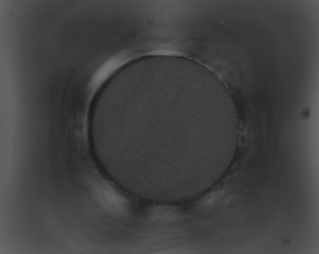 X0000091550296200708311400