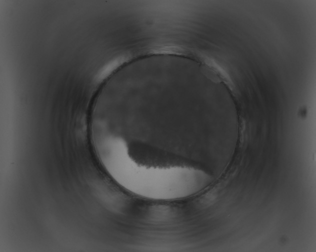 X0000091550298200708311400