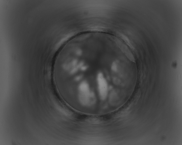 X0000091550299200708311400