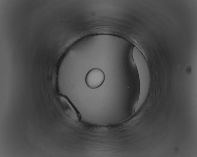 X0000091550301200708311400