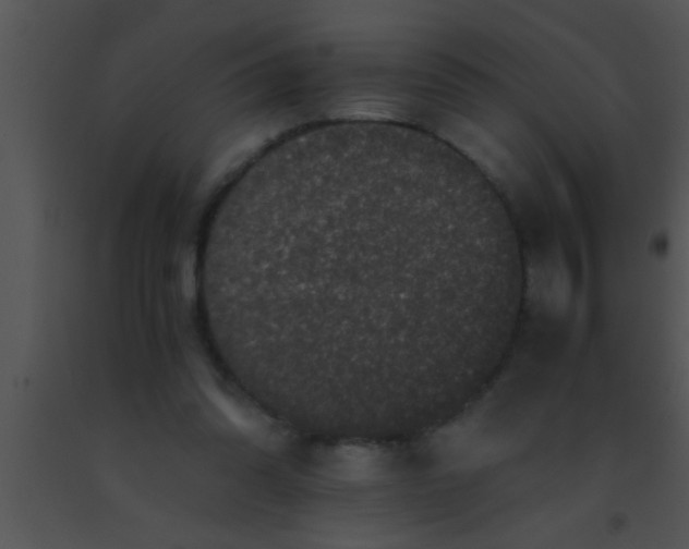 X0000091550302200708311400
