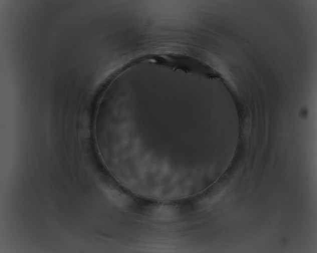 X0000091550303200708311400