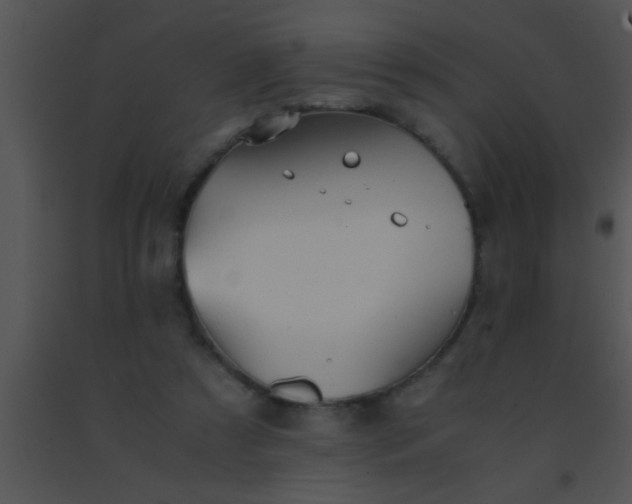 X0000091550305200708311400