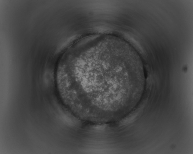 X0000091550306200708311400