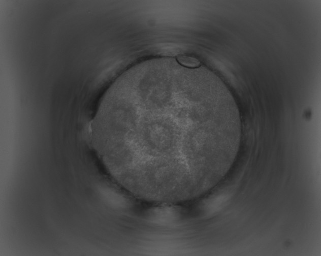 X0000091550307200708311400