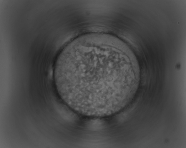 X0000091550310200708311400