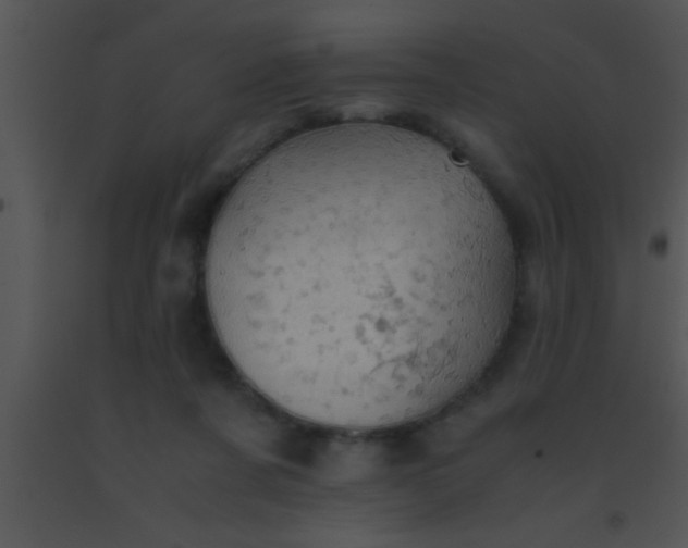 X0000091550311200708311400