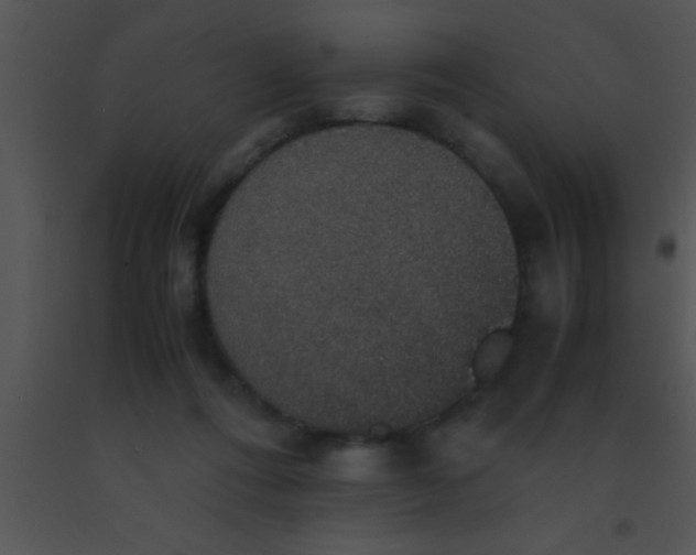 X0000091550312200708311400